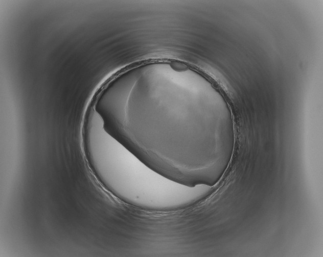 X0000110321076200905281628