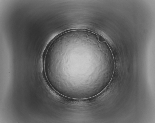 X0000110321079200905281628