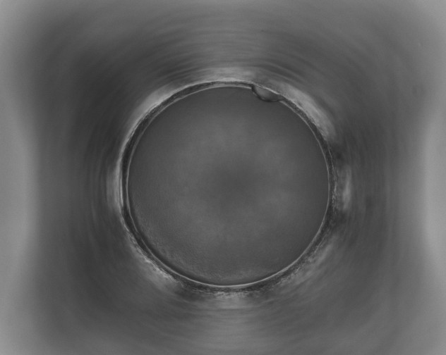 X0000110321080200905281628