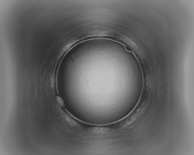 X0000110321081200905281628