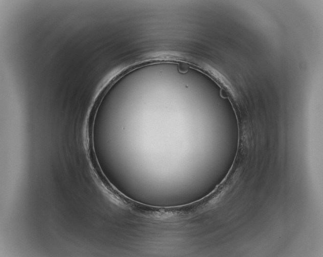 X0000110321082200905281628