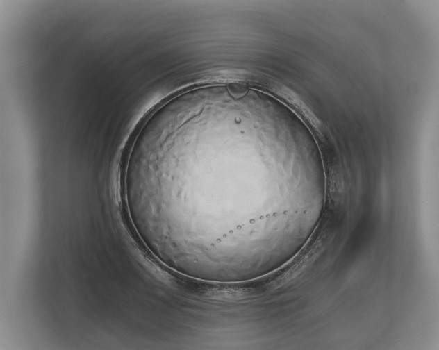 X0000110321083200905281628