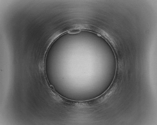 X0000110321089200905281628