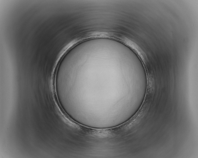 X0000110321090200905281628