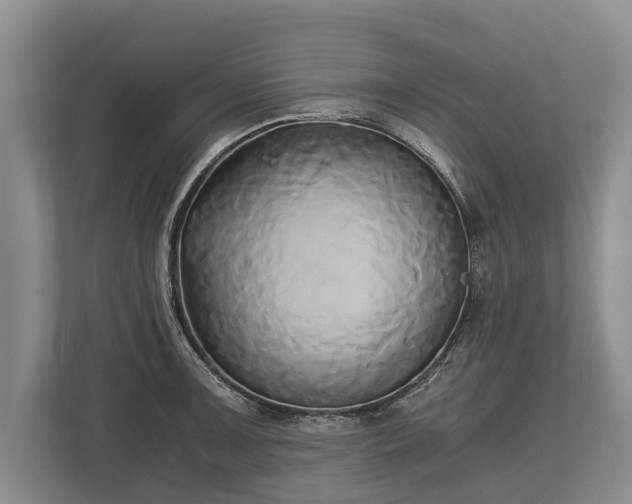 X0000110321091200905281628