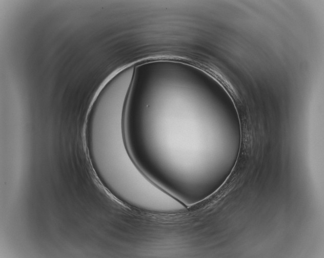 X0000110321092200905281628