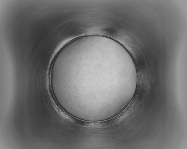 X0000110321094200905281628