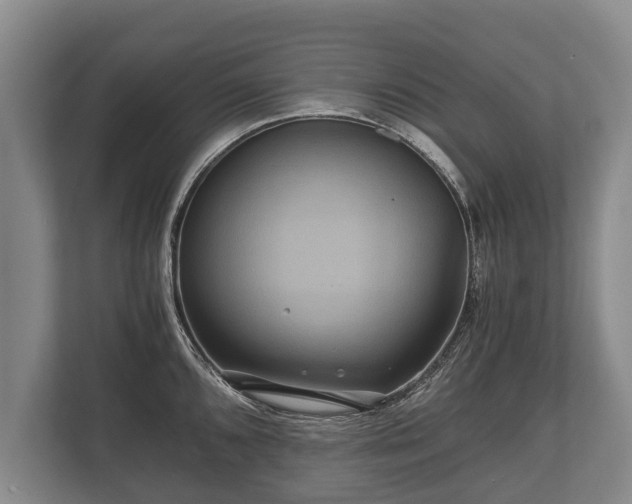 X0000110321096200905281627