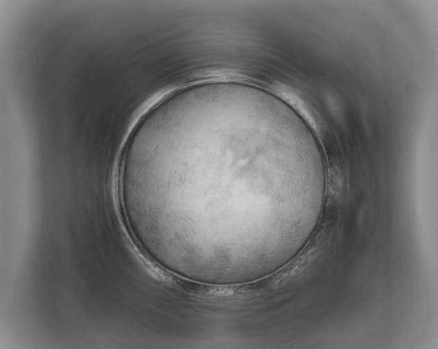 X0000110321098200905281627