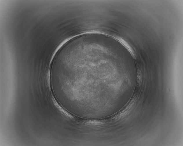 X0000110321100200905281627