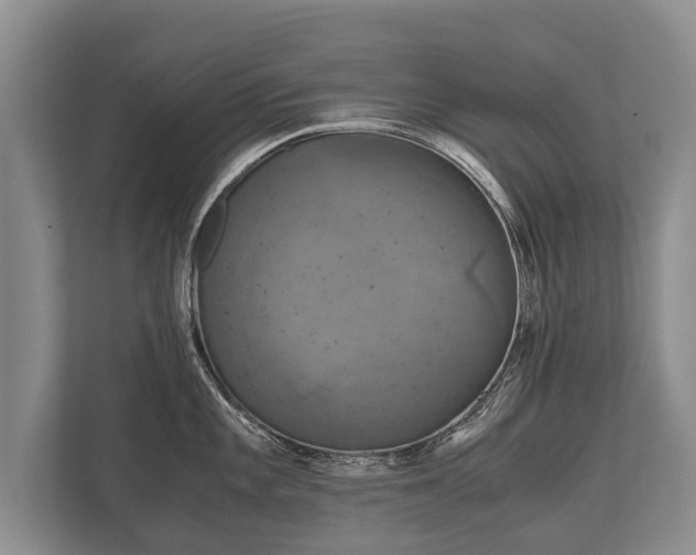 X0000110321101200905281627