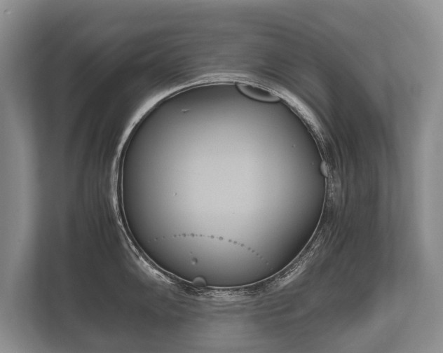 X0000110321102200905281627