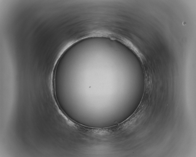 X0000110321103200905281627