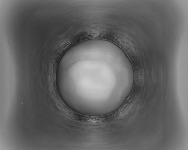 X0000110321105200905281627