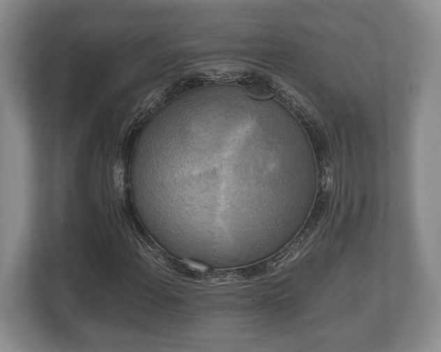 X0000110321108200905281627