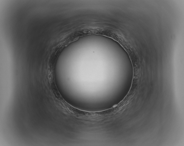 X0000110321109200905281627