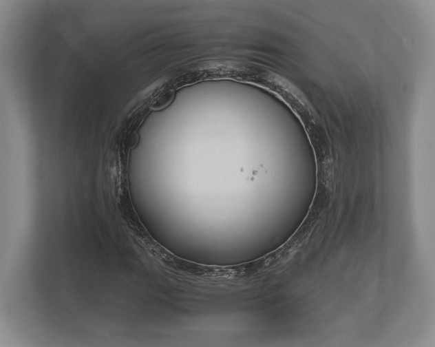 X0000110321111200905281627