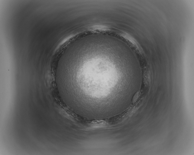 X0000110321112200905281627