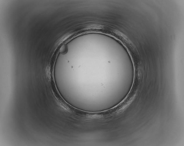 X0000110321113200905281627