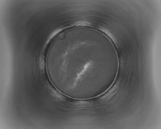 X0000110321115200905281627