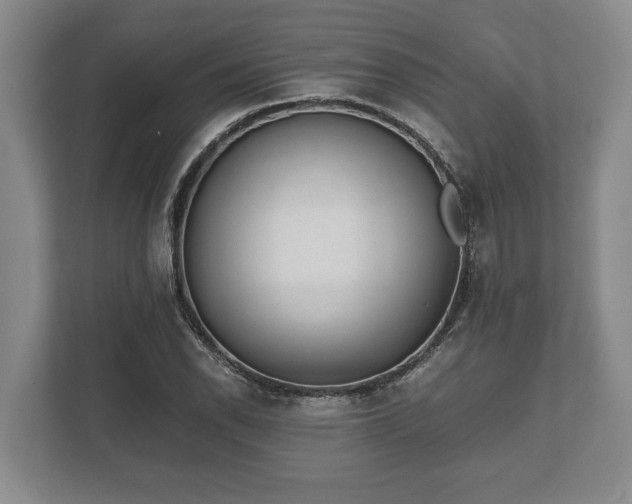 X0000110321118200905281627