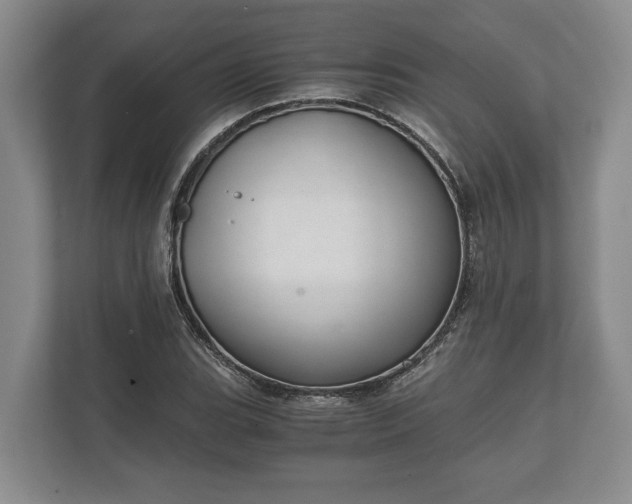 X0000110321119200905281627