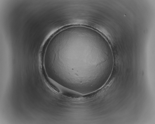 X0000110321120200905281627