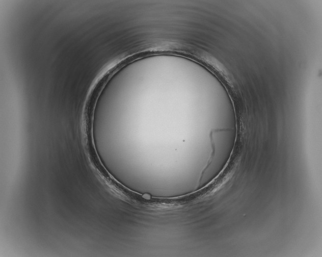 X0000110321122200905281627