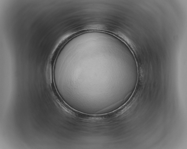 X0000110321123200905281627