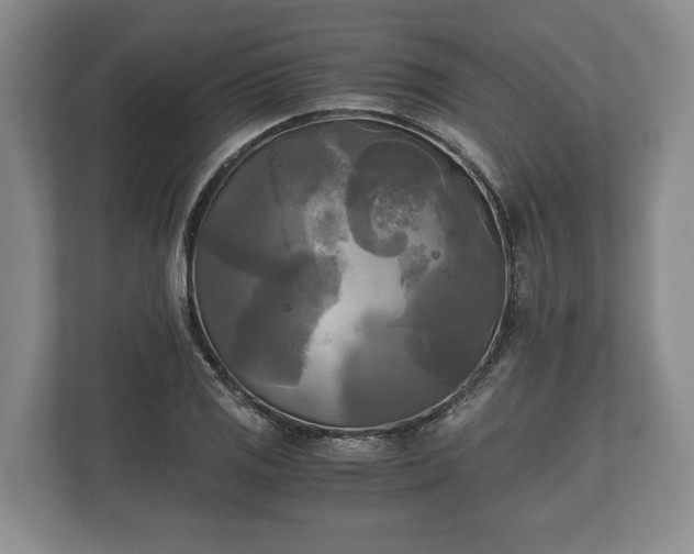 X0000110321125200905281627