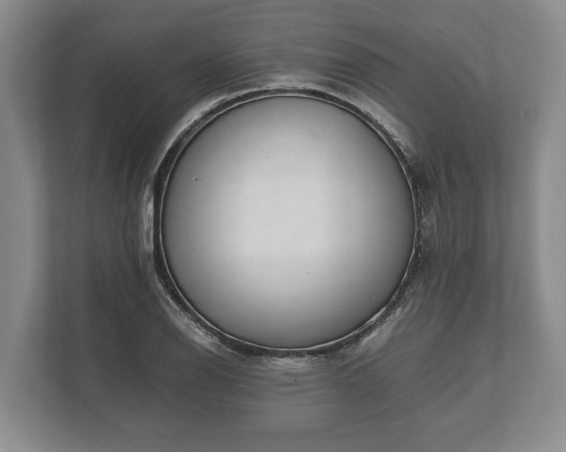 X0000110321126200905281627