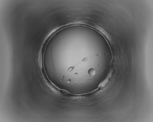 X0000110321127200905281627