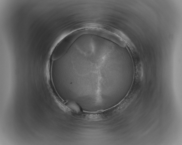 X0000110321128200905281627