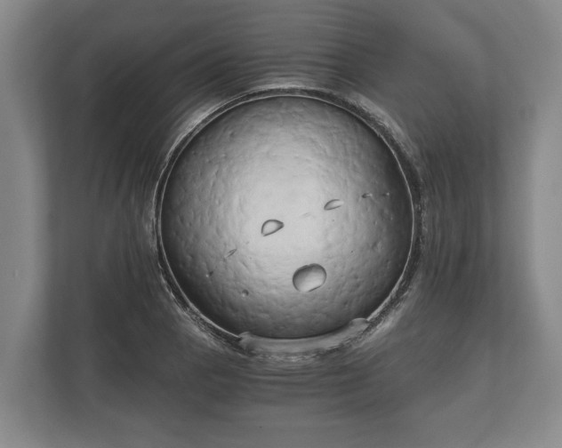 X0000110321129200905281627