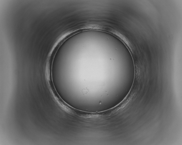 X0000110321131200905281627