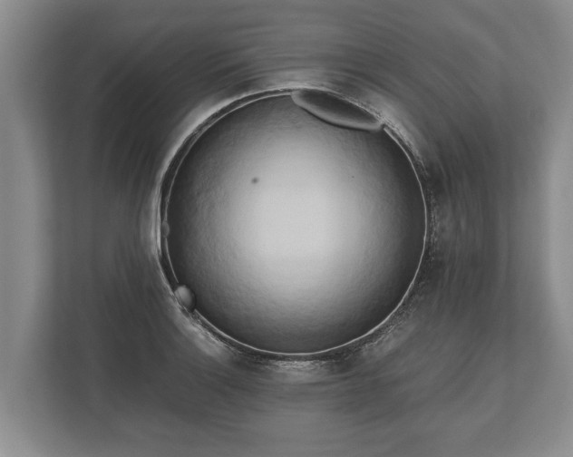 X0000110321132200905281627