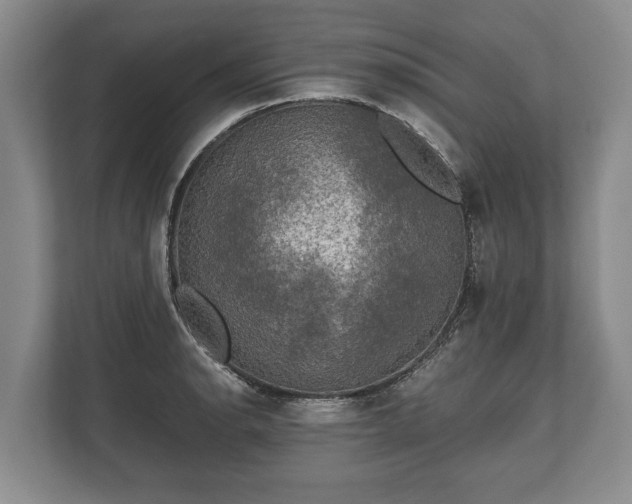 X0000110321134200905281627