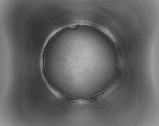 X0000110321136200905281627