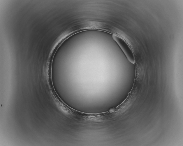 X0000110321138200905281627