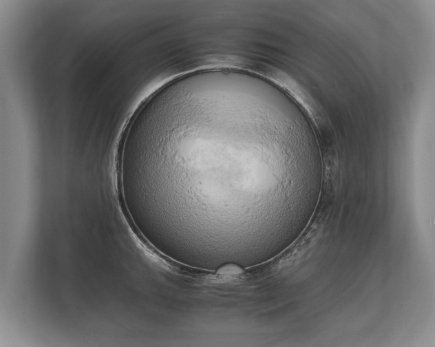 X0000110321143200905281627