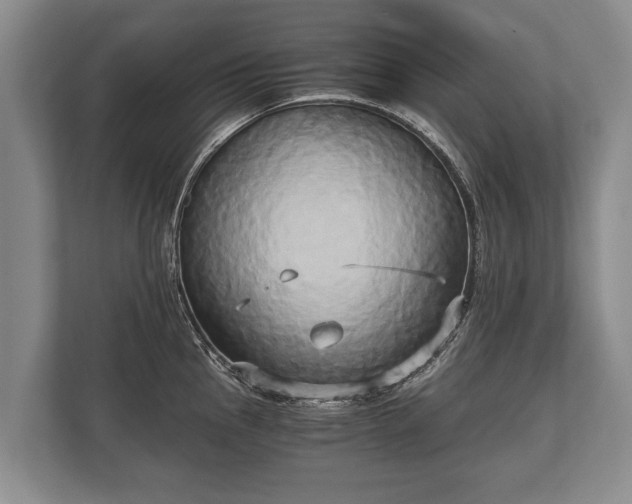 X0000110321145200905281627