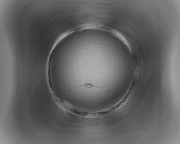 X0000110321146200905281627