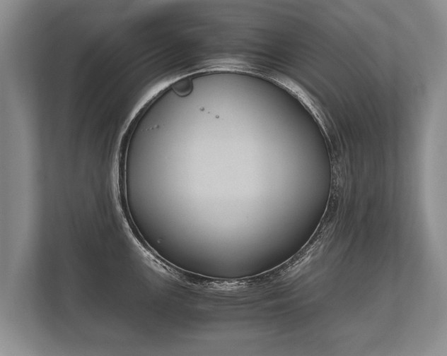 X0000110321147200905281627