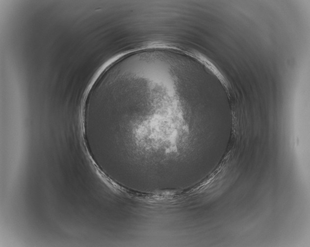 X0000110321148200905281627