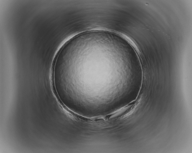 X0000110321149200905281627