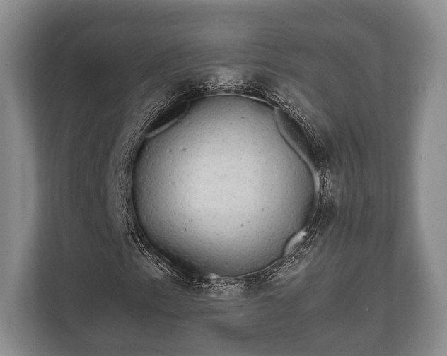 X0000110321153200905281627