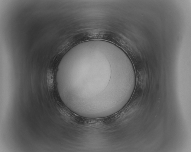 X0000110321154200905281627