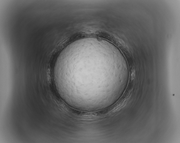 X0000110321156200905281627