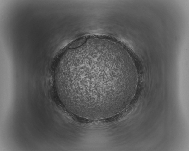 X0000110321159200905281627