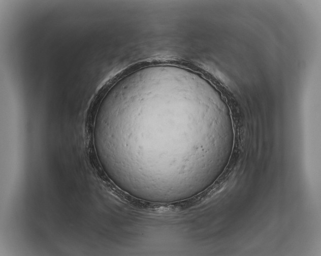 X0000110321160200905281627